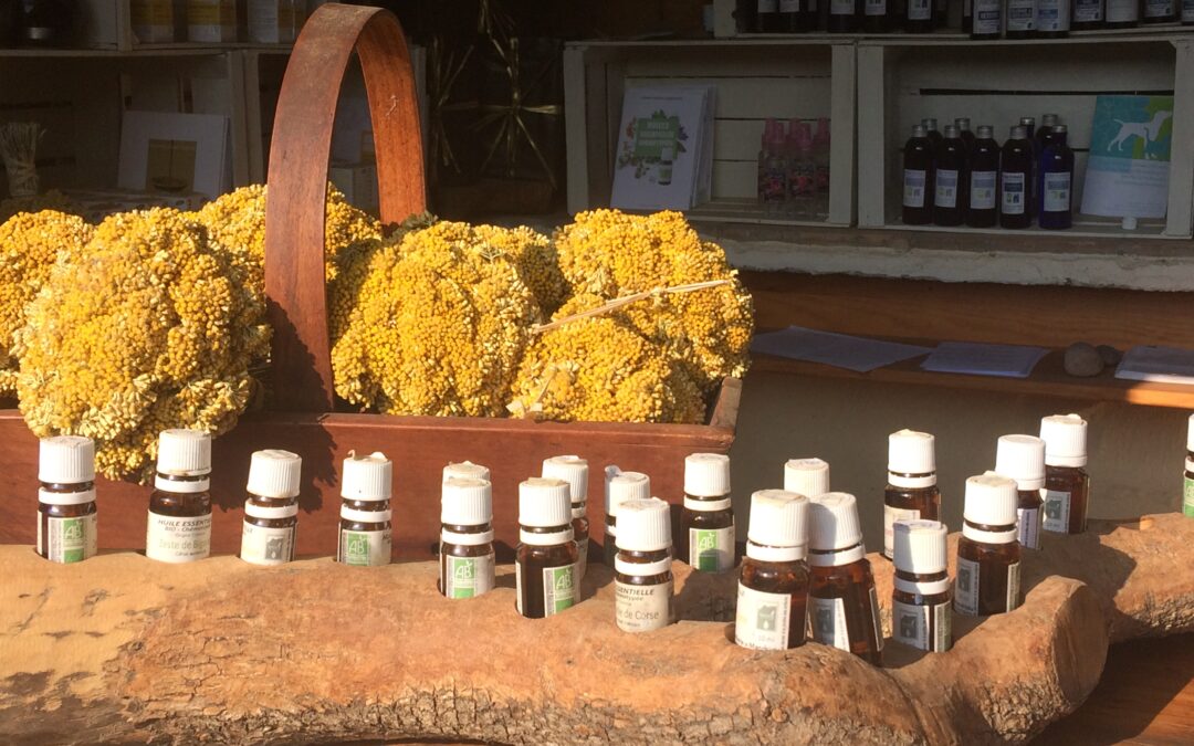 MICHELE'S ESSENTIAL OILS